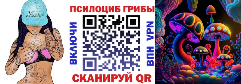 Галлюциногенные грибы Psilocybine cubensis  где купить   Межгорье 